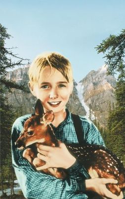 unknown The Yearling movie poster