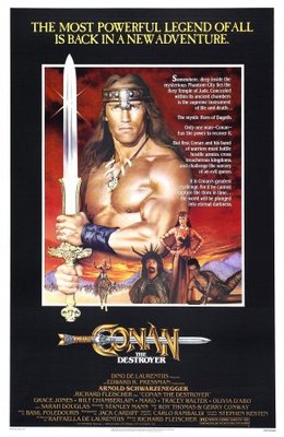 unknown Conan The Destroyer movie poster