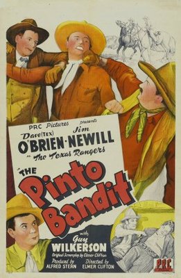 unknown The Pinto Bandit movie poster