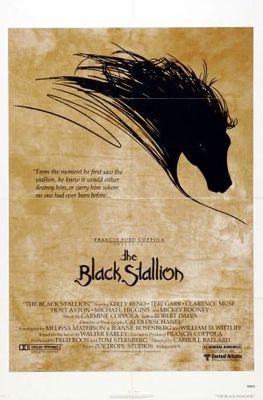 unknown The Black Stallion movie poster