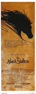 unknown The Black Stallion movie poster