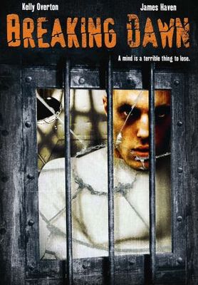 unknown Breaking Dawn movie poster