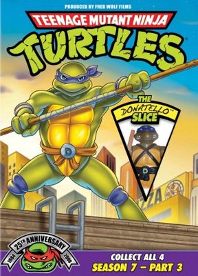 unknown Teenage Mutant Ninja Turtles movie poster