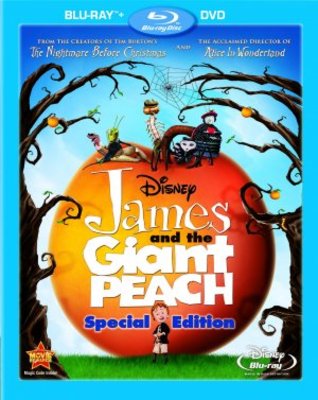 unknown James and the Giant Peach movie poster