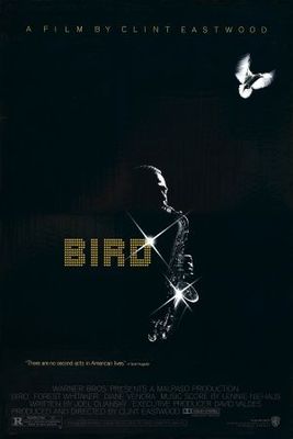 unknown Bird movie poster