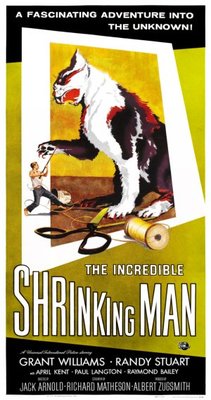 unknown The Incredible Shrinking Man movie poster