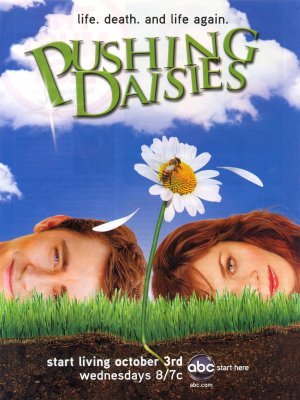 unknown Pushing Daisies movie poster
