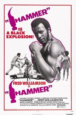 unknown Hammer movie poster
