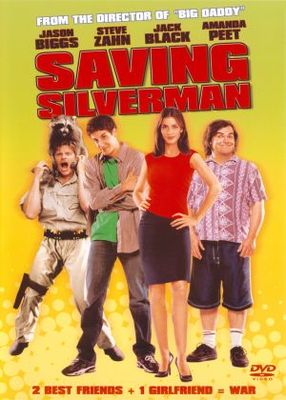 unknown Saving Silverman movie poster