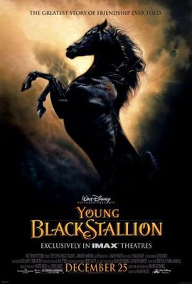 unknown The Young Black Stallion movie poster