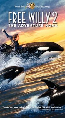 unknown Free Willy 2: The Adventure Home movie poster