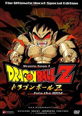 unknown Dragon Ball Z movie poster