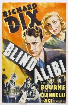 unknown Blind Alibi movie poster