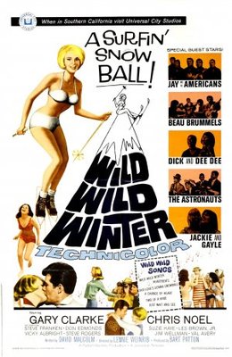 unknown Wild Wild Winter movie poster