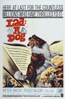 unknown Lad: A Dog movie poster