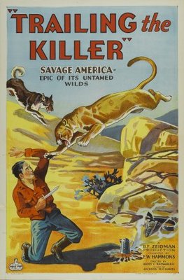 unknown Trailing the Killer movie poster