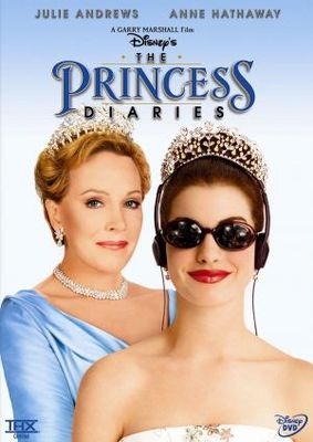 unknown The Princess Diaries movie poster