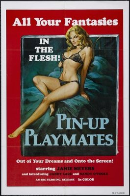 unknown Pin-up Playmates movie poster