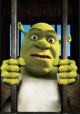 unknown Shrek Forever After movie poster