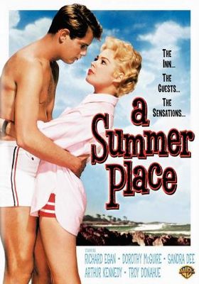 unknown A Summer Place movie poster
