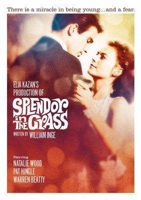 unknown Splendor in the Grass movie poster