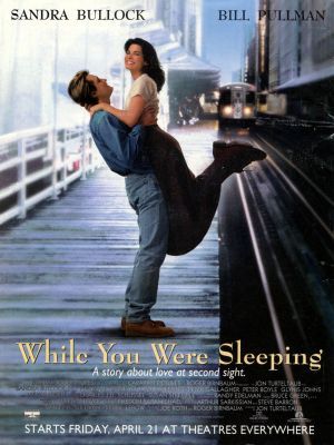 unknown While You Were Sleeping movie poster