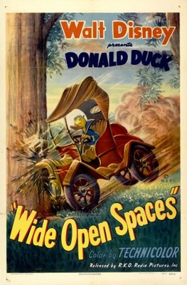 unknown Wide Open Spaces movie poster