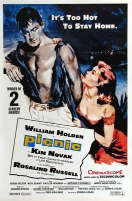 unknown Picnic movie poster