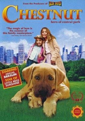 unknown Chestnut: Hero of Central Park movie poster