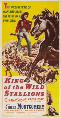 unknown King of the Wild Stallions movie poster