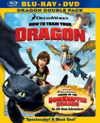 unknown How to Train Your Dragon movie poster
