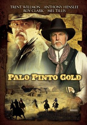 unknown Palo Pinto Gold movie poster