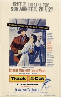 unknown Track of the Cat movie poster