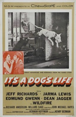 unknown It's a Dog's Life movie poster