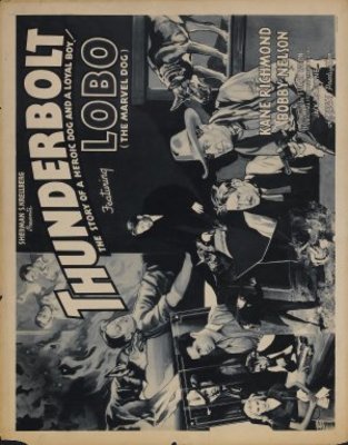 unknown Thunderbolt movie poster