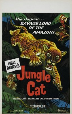 unknown Jungle Cat movie poster