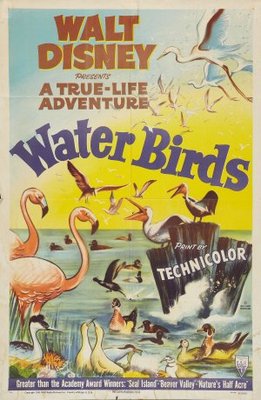 unknown Water Birds movie poster