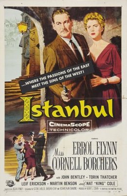 unknown Istanbul movie poster