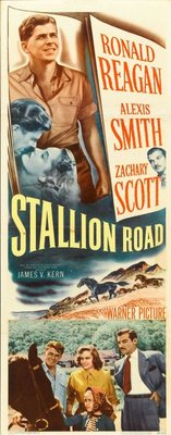 unknown Stallion Road movie poster