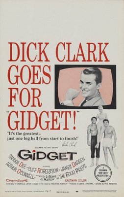 unknown Gidget movie poster