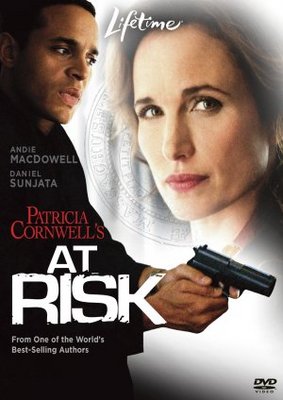 unknown At Risk movie poster