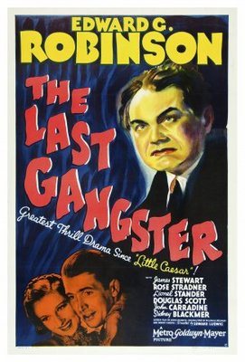 unknown The Last Gangster movie poster