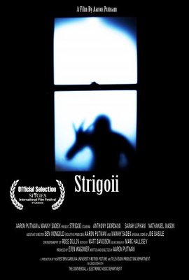 unknown Strigoii movie poster