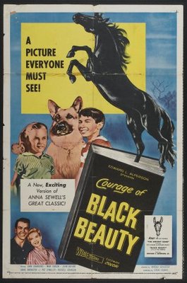 unknown Courage of Black Beauty movie poster