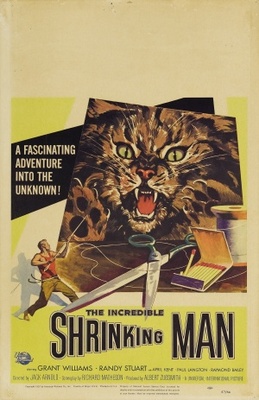 unknown The Incredible Shrinking Man movie poster