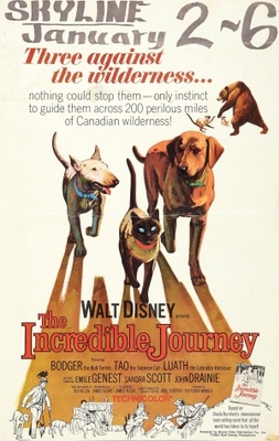 unknown The Incredible Journey movie poster