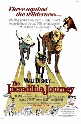 unknown The Incredible Journey movie poster