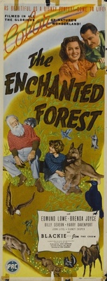unknown The Enchanted Forest movie poster