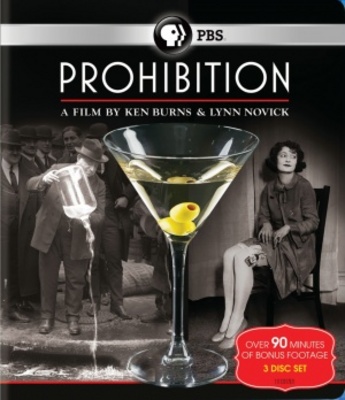 unknown Prohibition movie poster