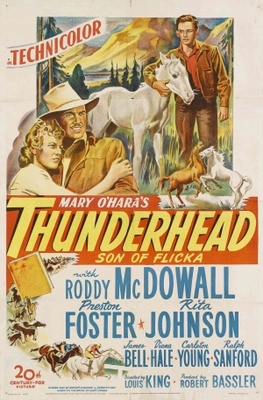 unknown Thunderhead - Son of Flicka movie poster